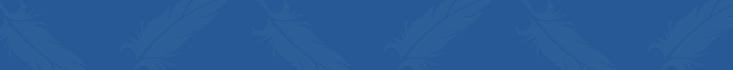 blue banner